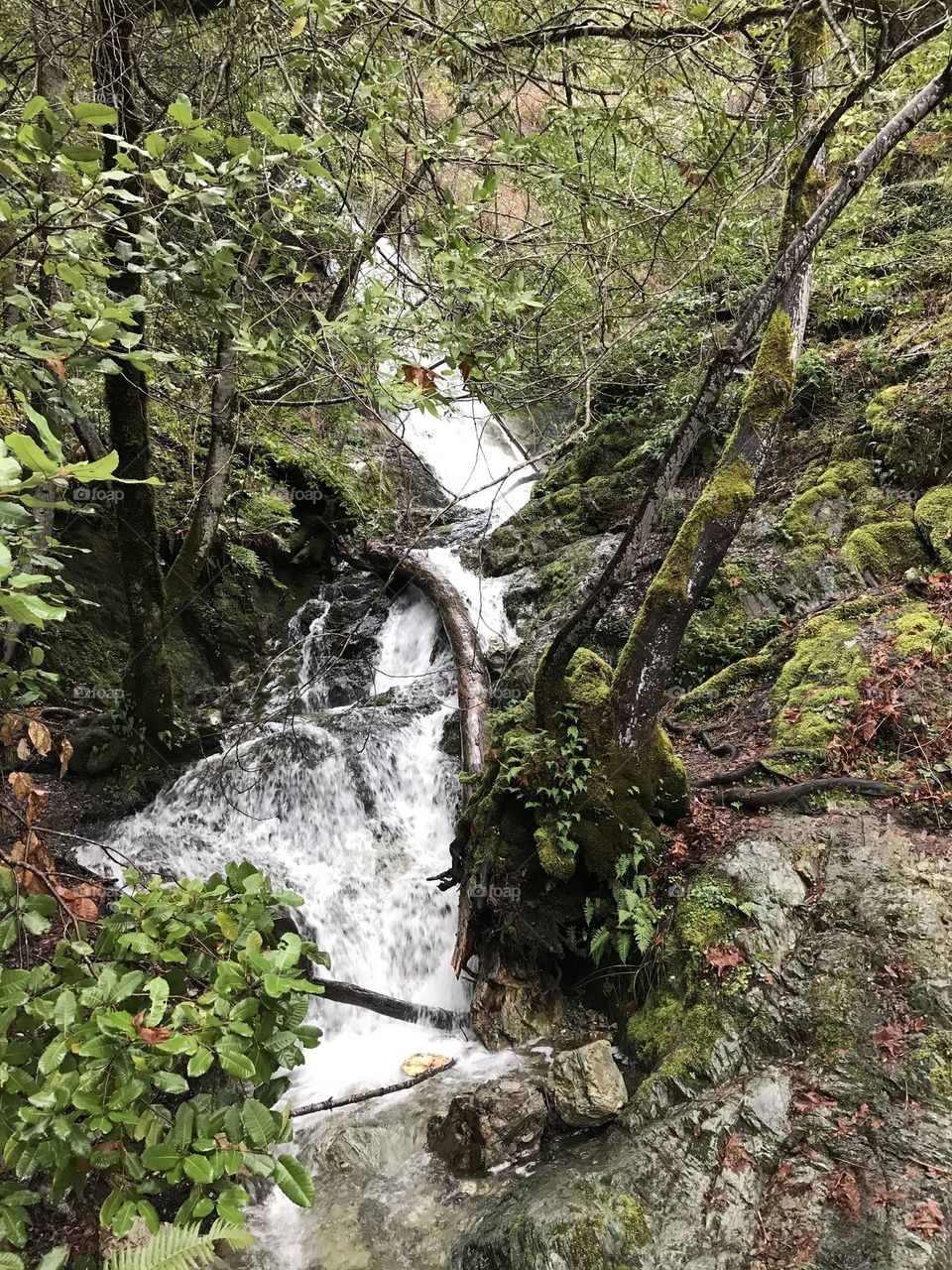 Hidden waterfall