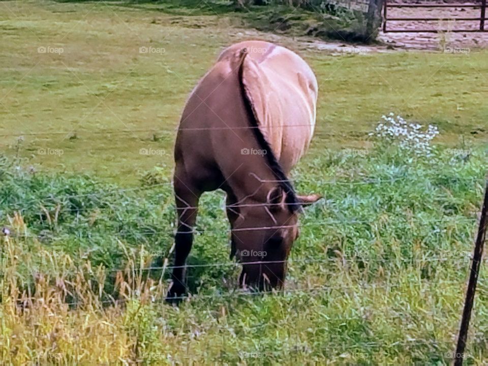 Driving the Back Roads and enjoying everything around us