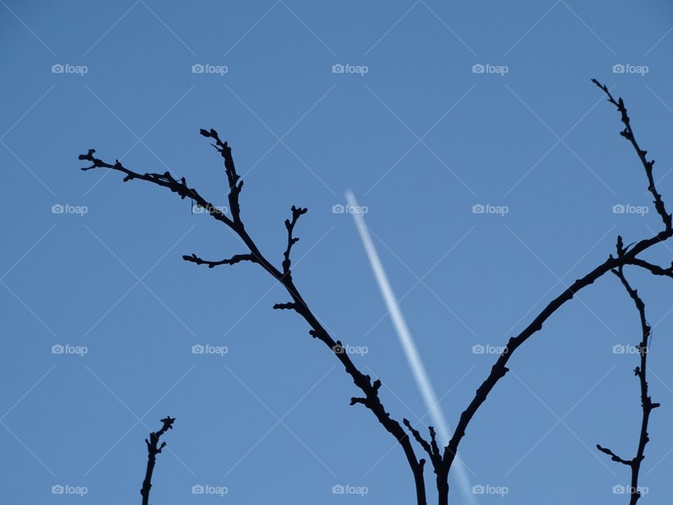 High altitude over flight framed by tree limb 