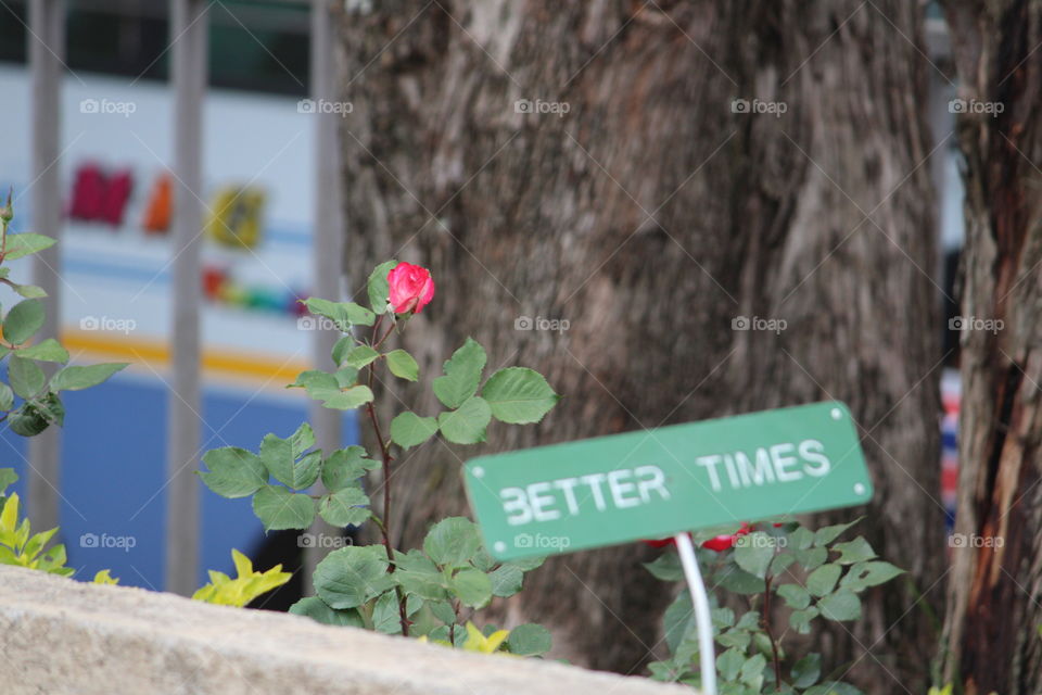 sign board better times