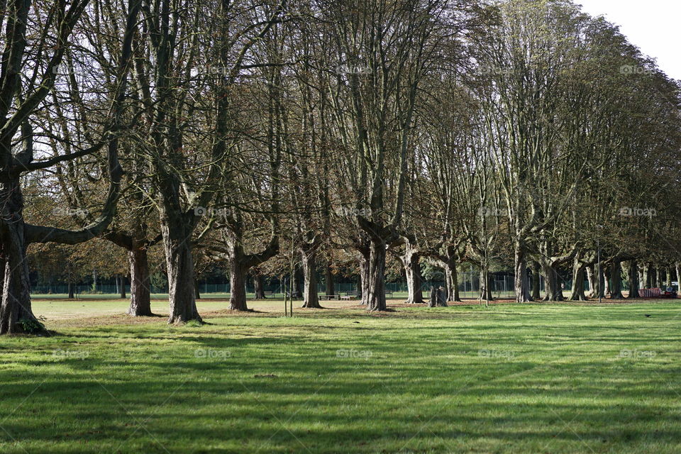 Park in Antwerp
