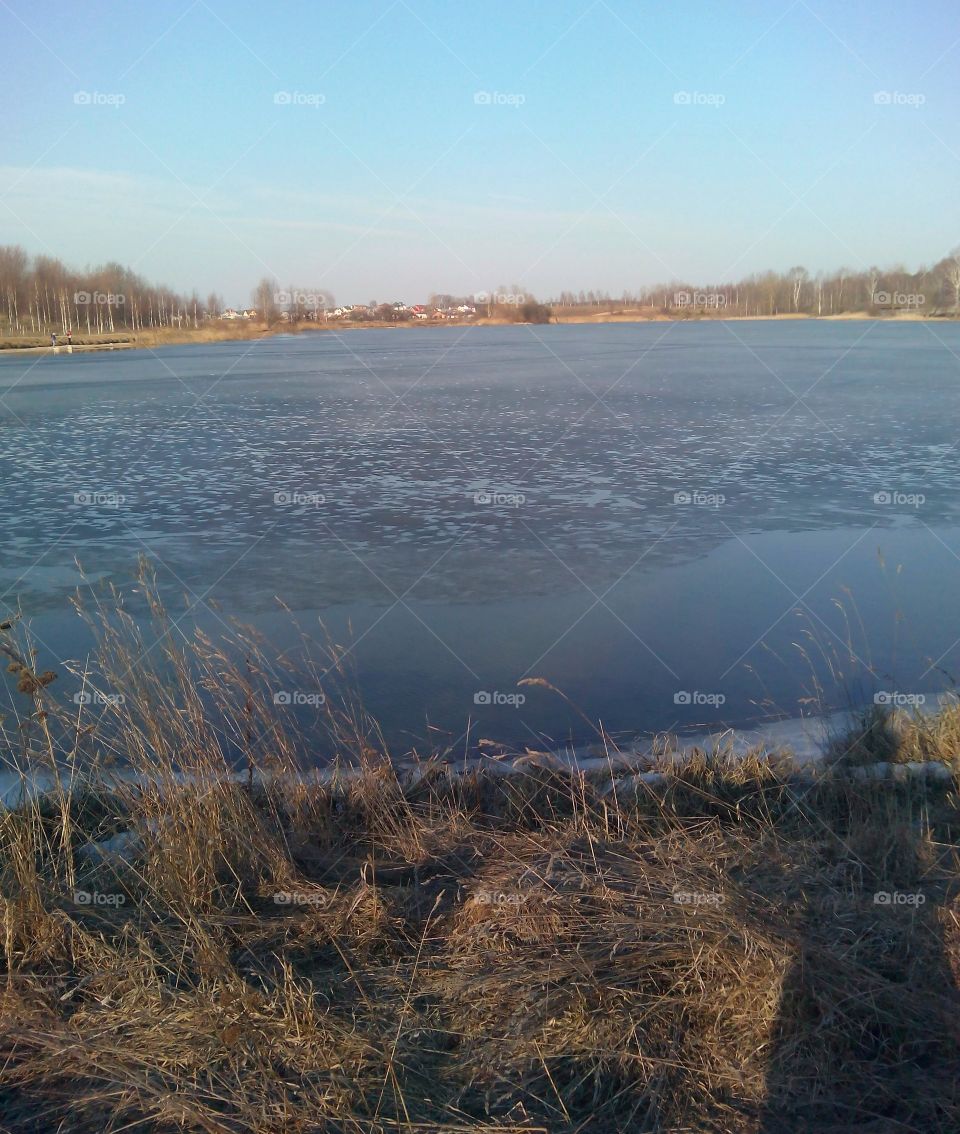 Water, Landscape, Tree, Lake, Winter