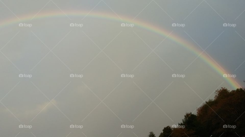 Rainbow