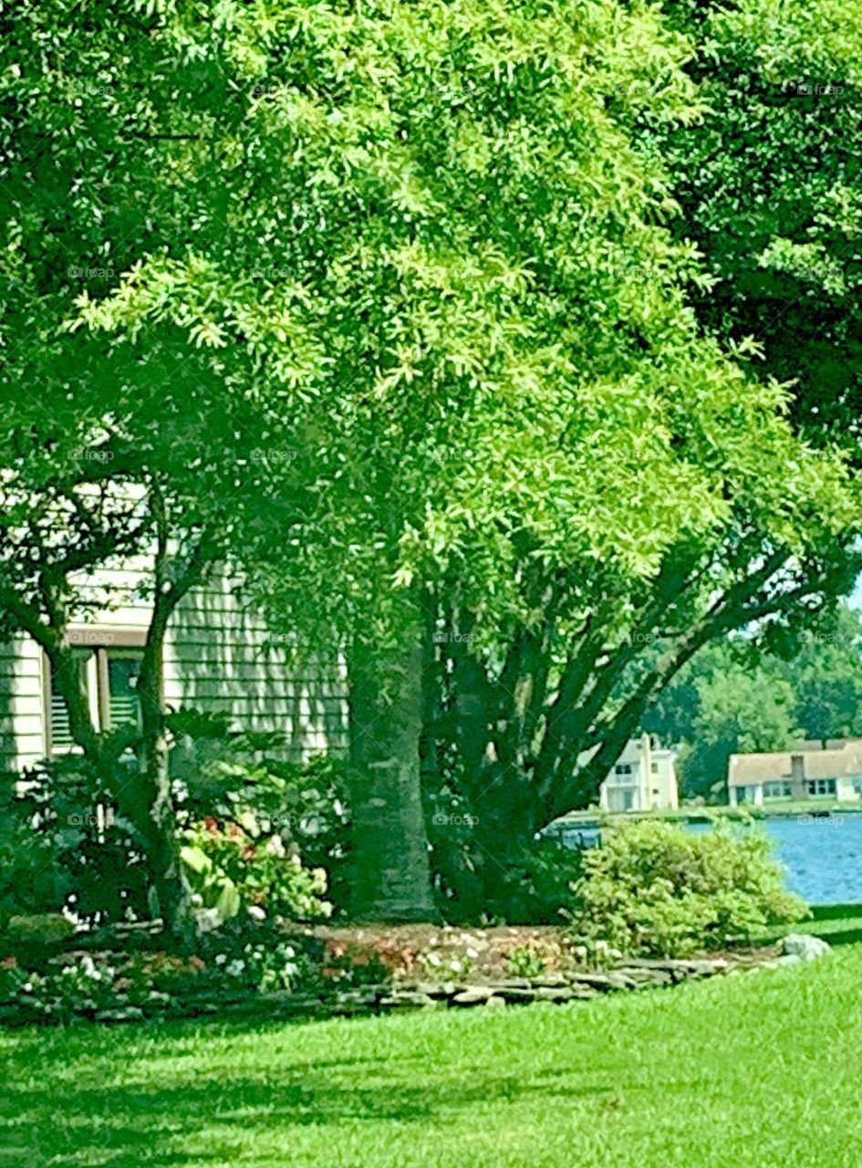 July in Hampton Roads