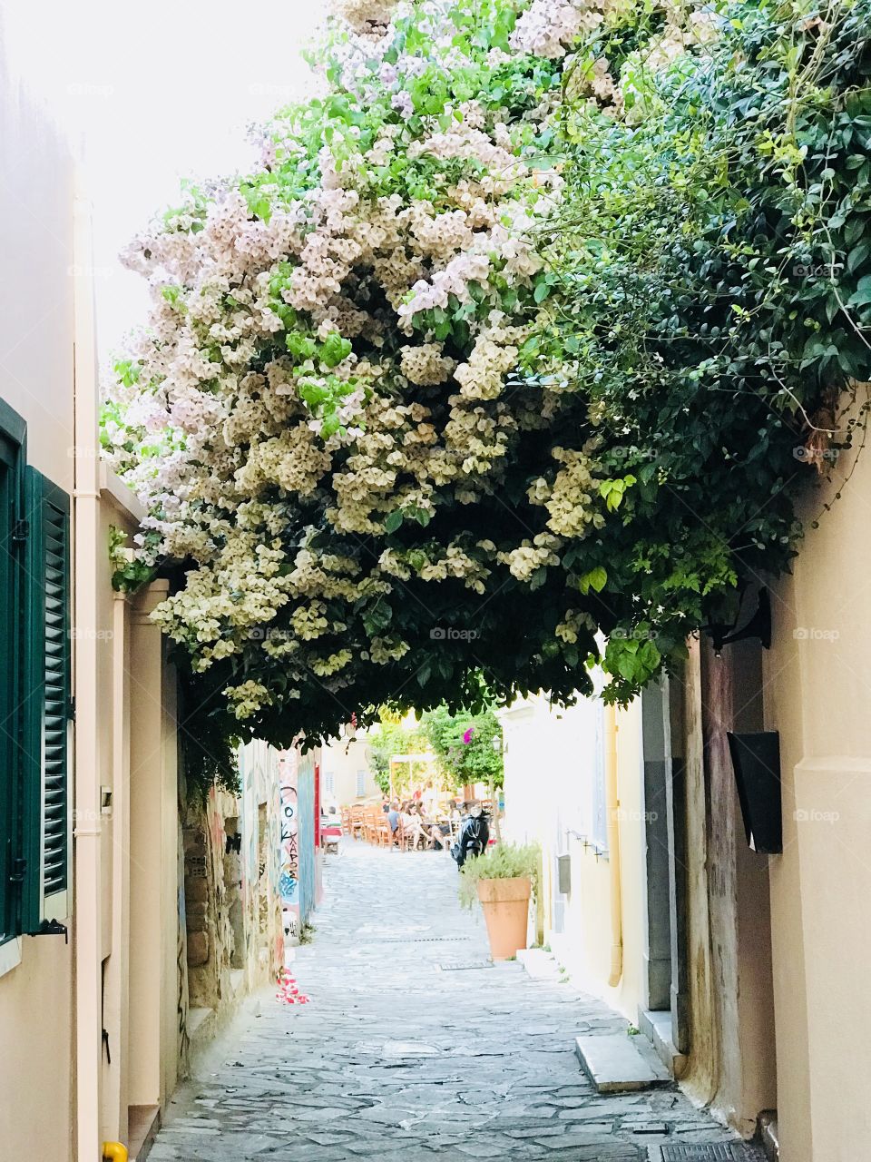 Streets of Athens