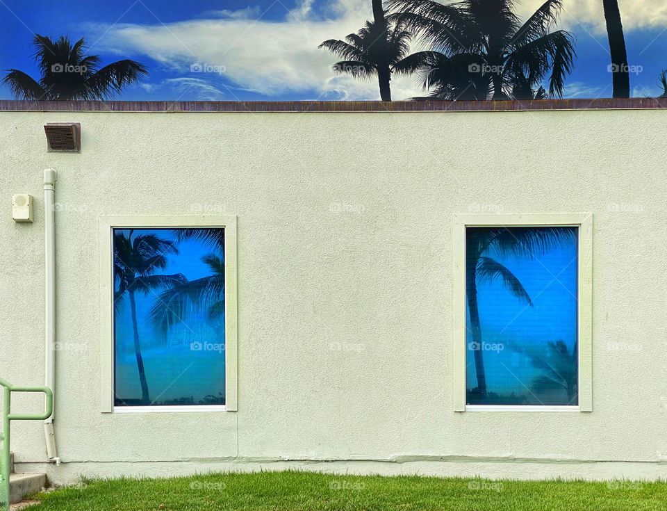 Palm trees reflected in the windows of a building and palm trees growing behind the building