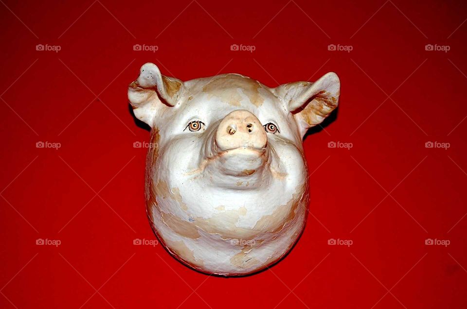 wall-mounted pig head decoration