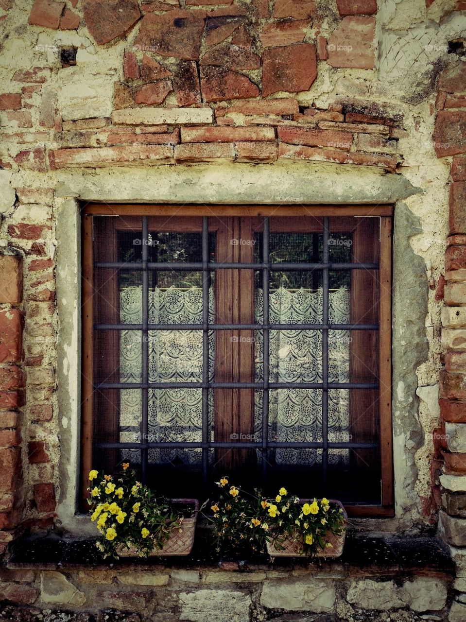 The window