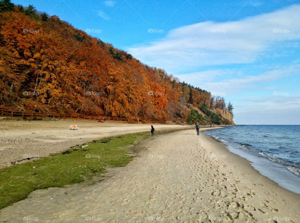 Beach, Water, No Person, Sea, Seashore