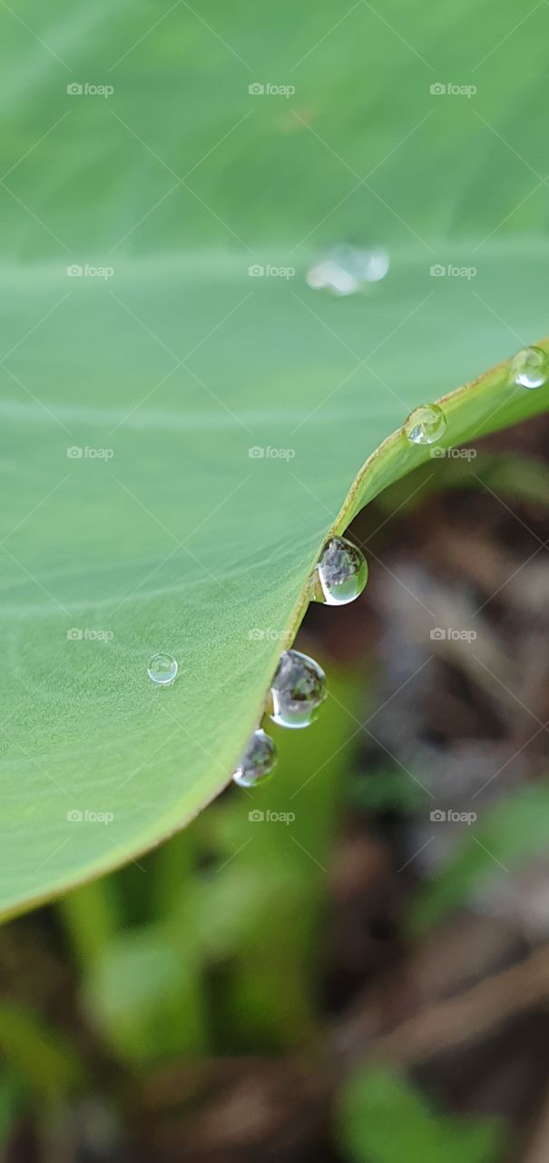 water point on the edge