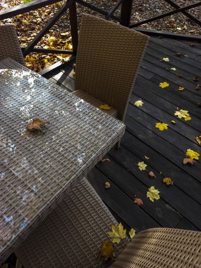 autumn colors