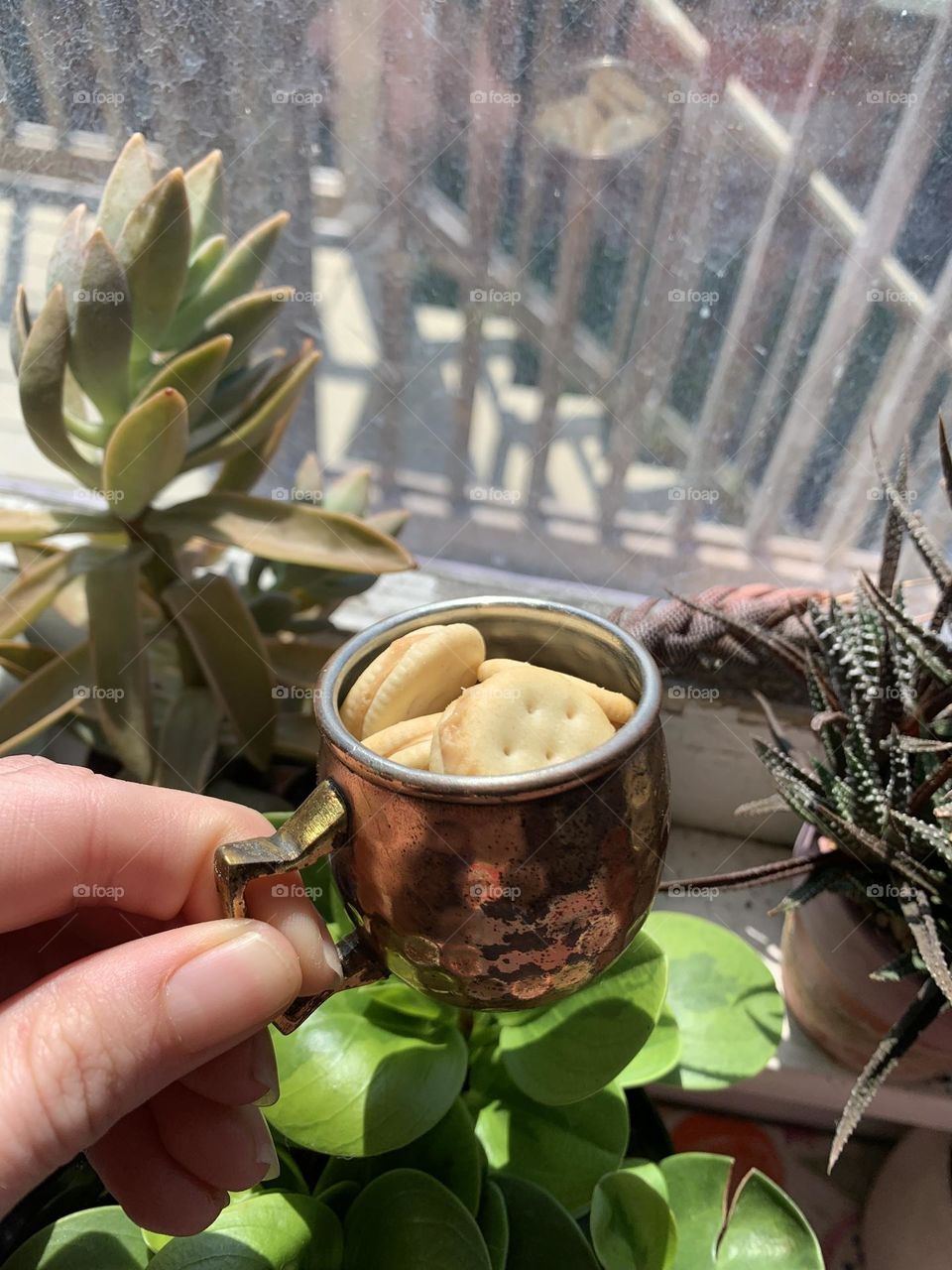 Tiny cup with tiny crackers!