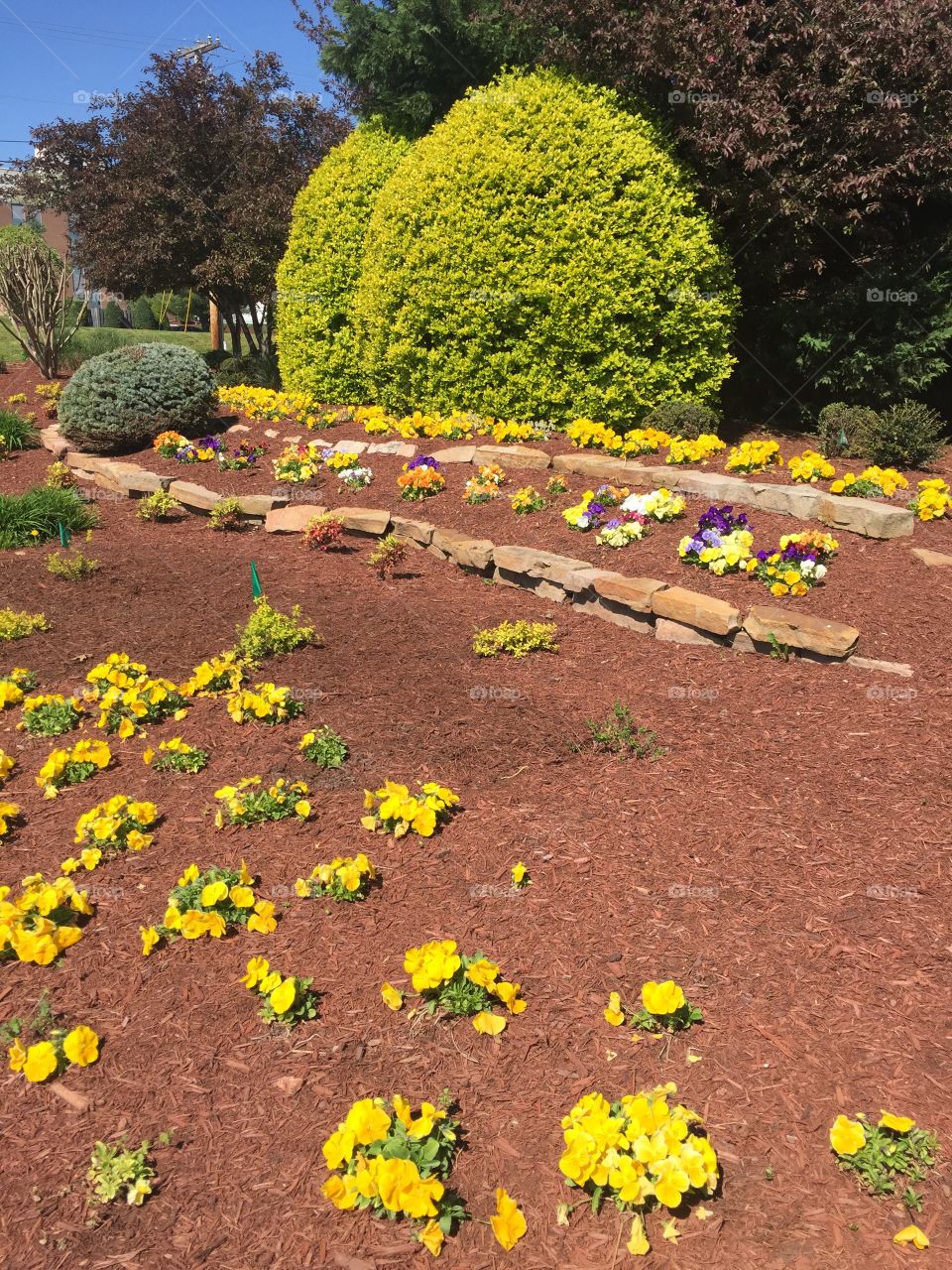 Flower landscaping