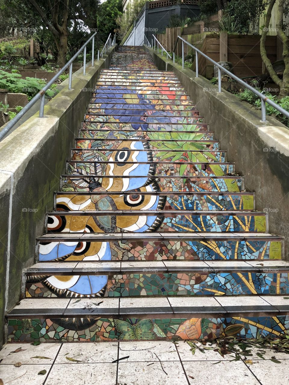Hidden Stairs, San Francisco 