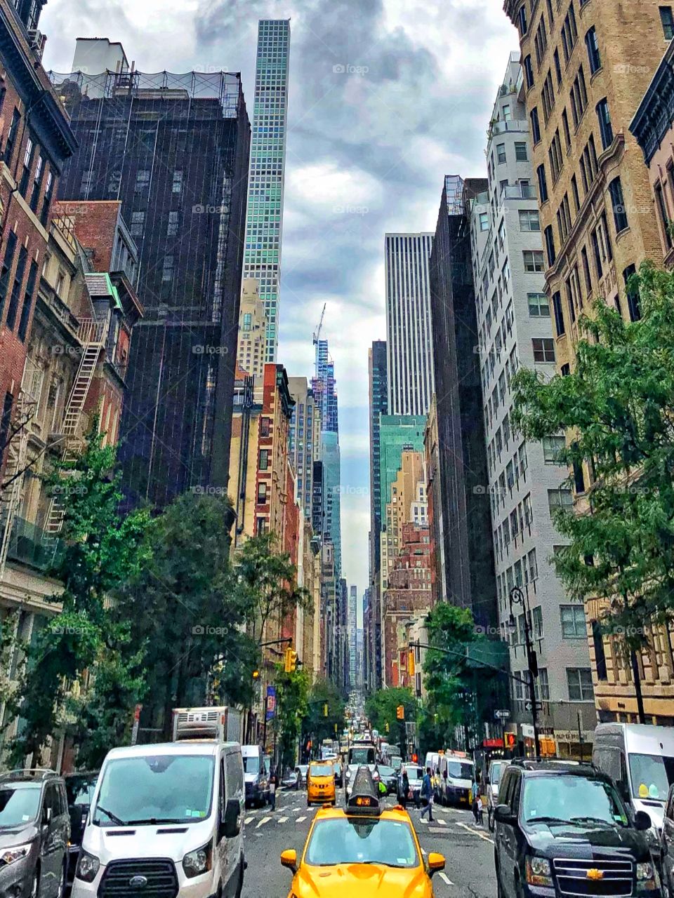 Madison Ave 