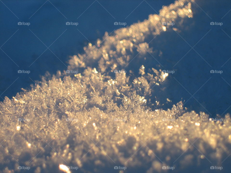 snow crystals in the sun
