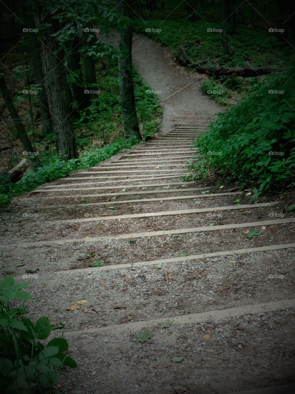 Empire Bluffs
Michigan 