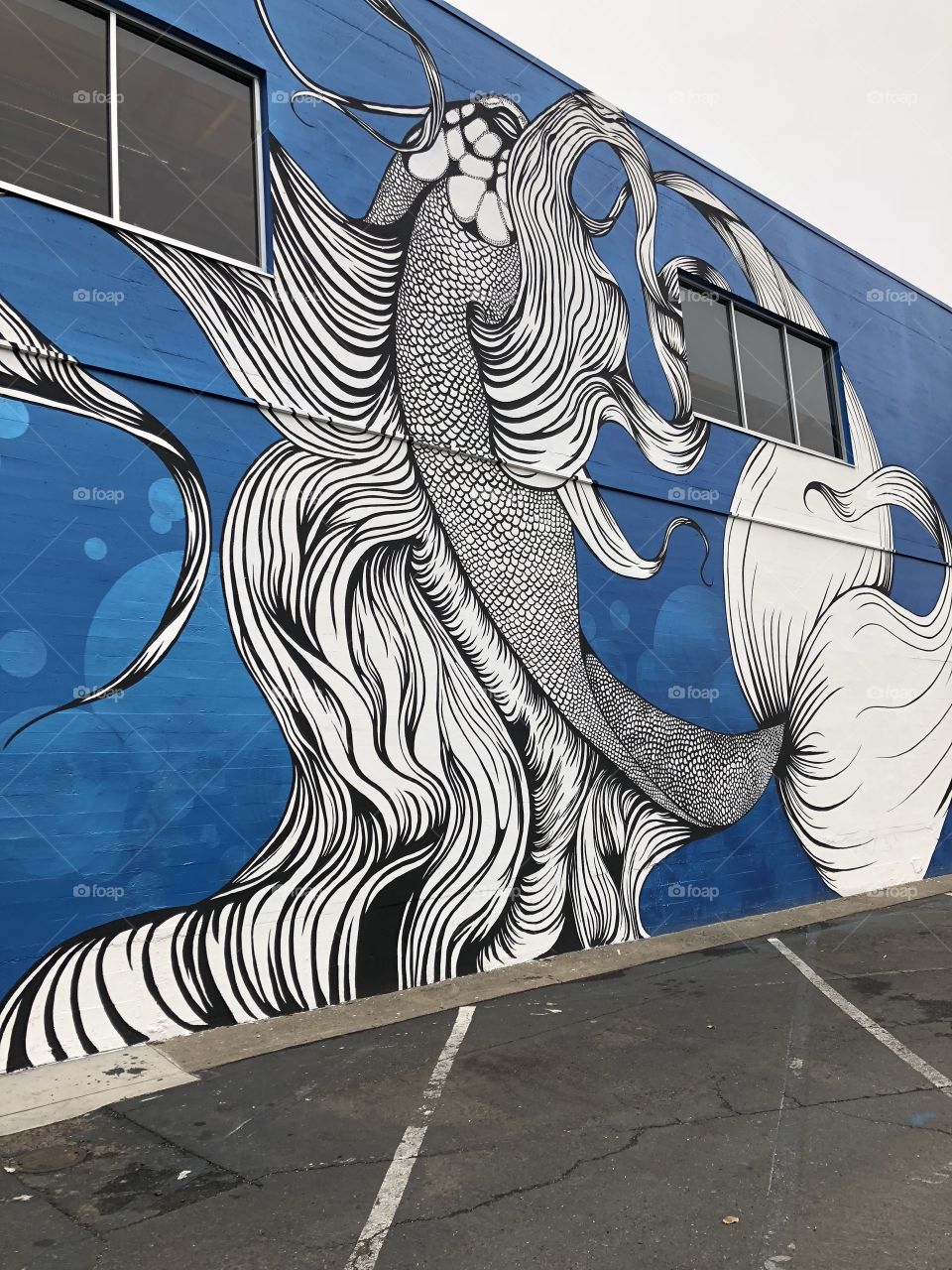 Midtown mural walk Koi