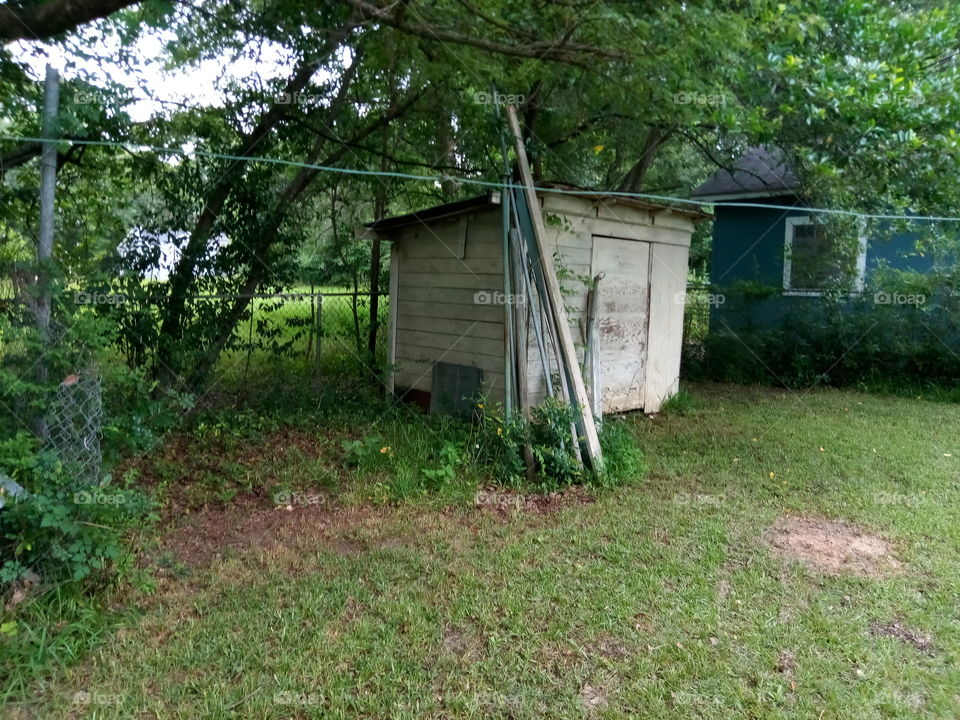 An Old Shed