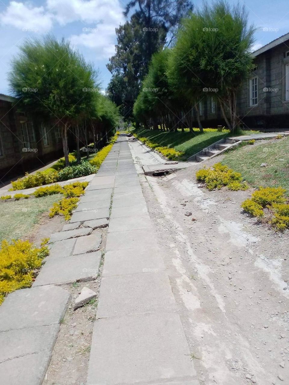 very cool environment