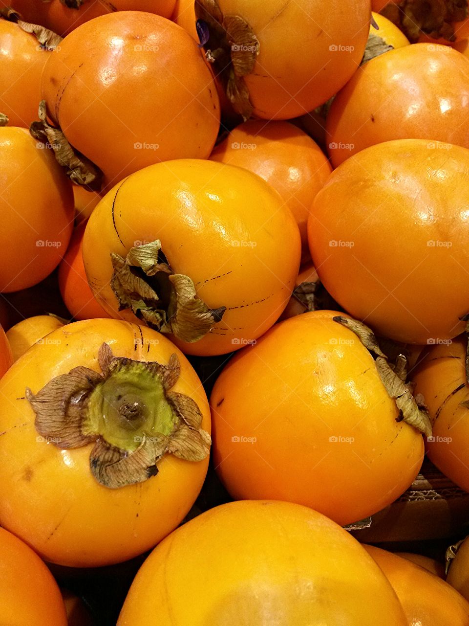 orange persimmon