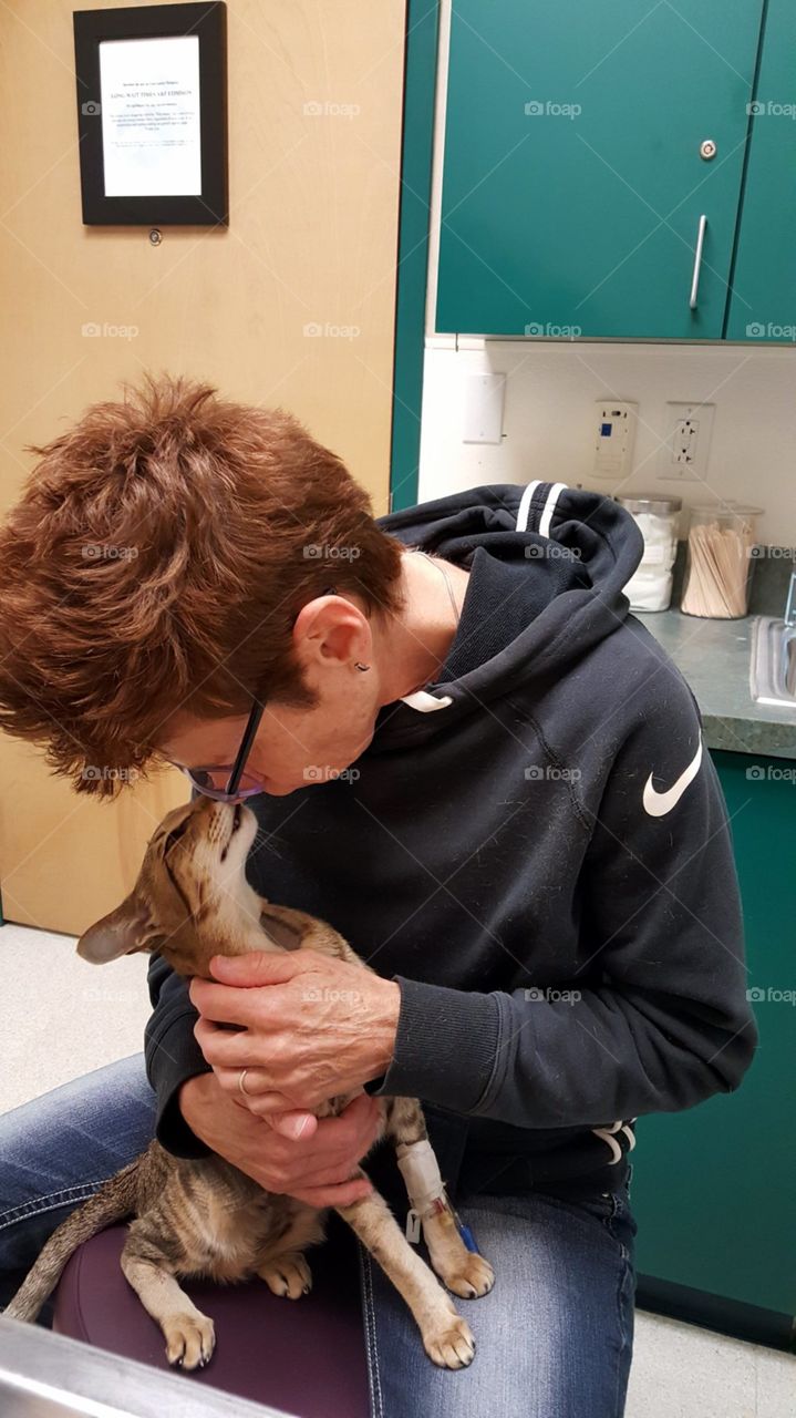 love between owner and cat