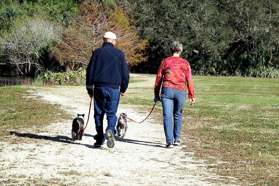 Out for a walk
