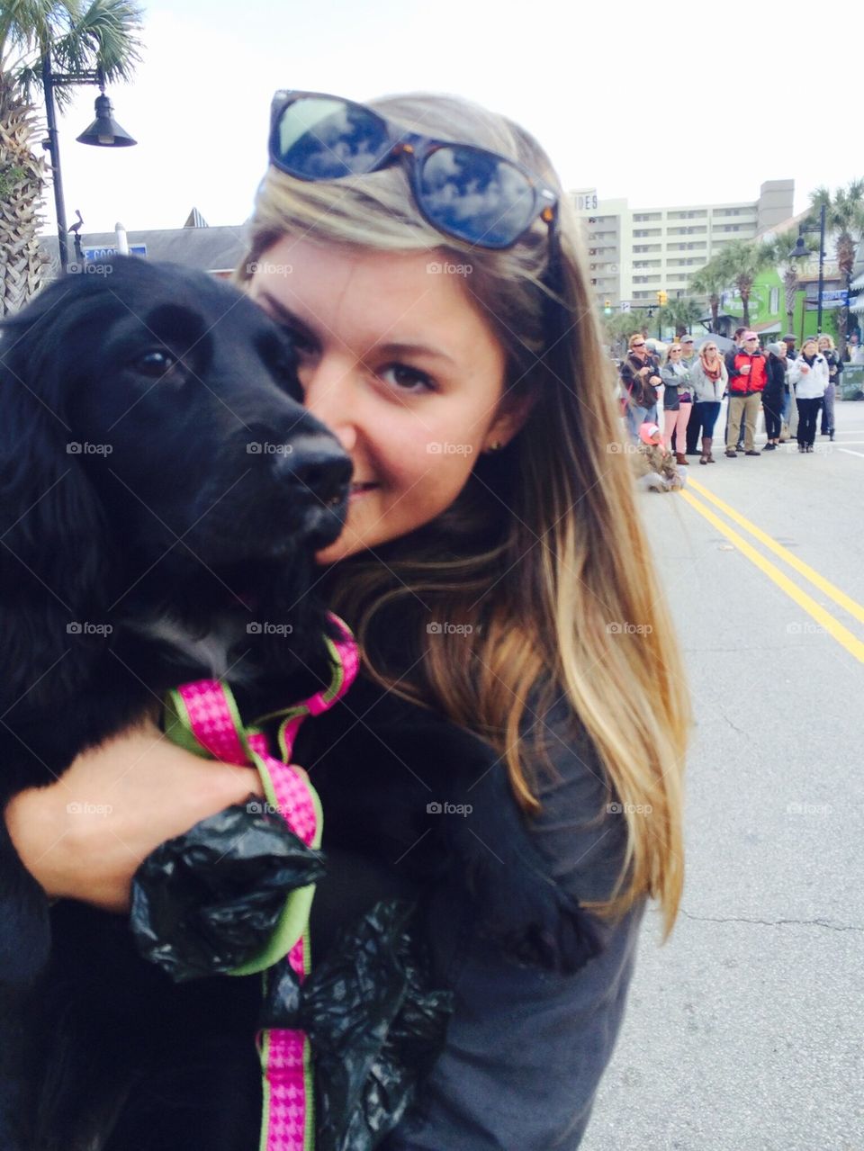 Street Festivals and Puppy Dogs