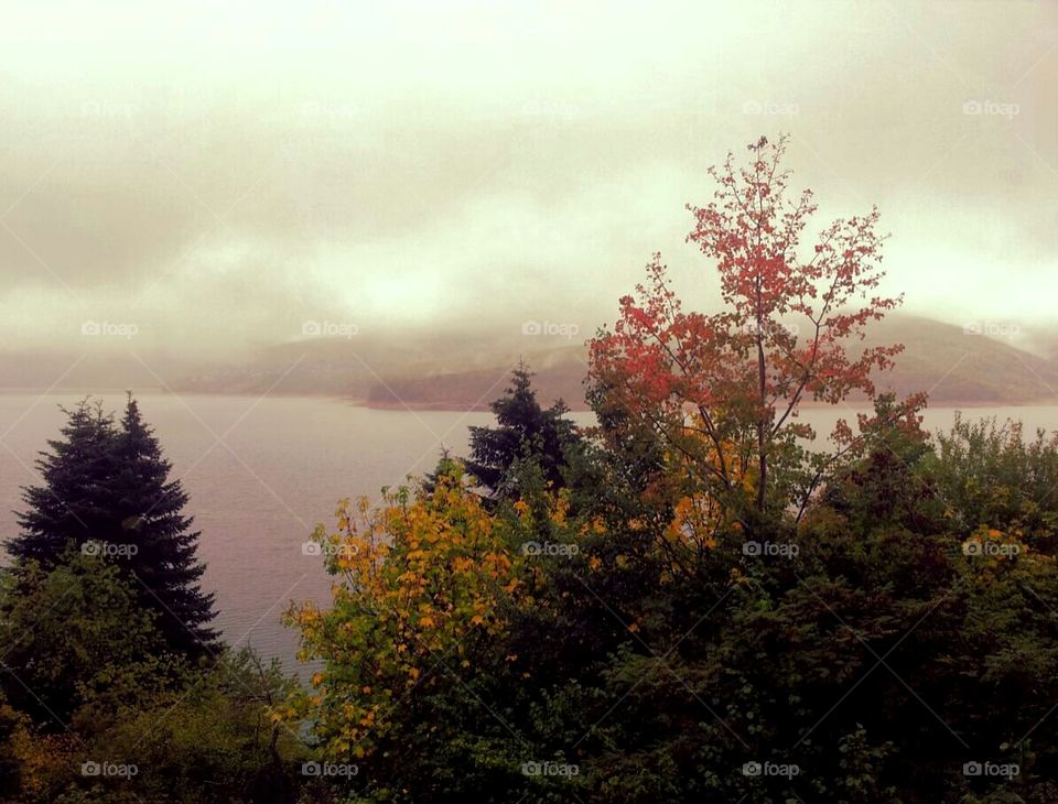 Autumn colours (Mavrovo lake)