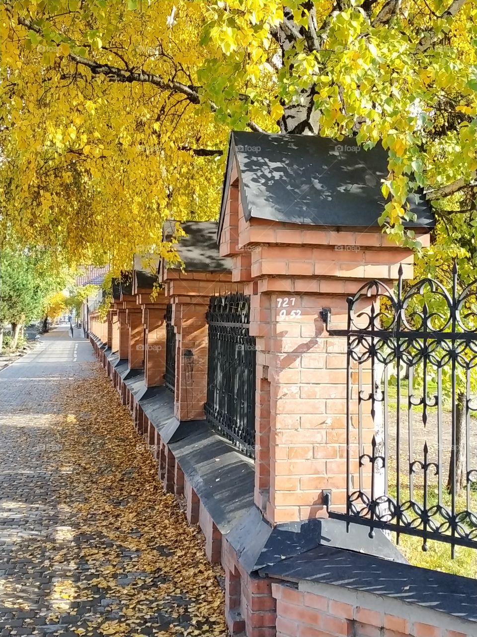 Autumn in Siberia. Yeniseisk. Russia.