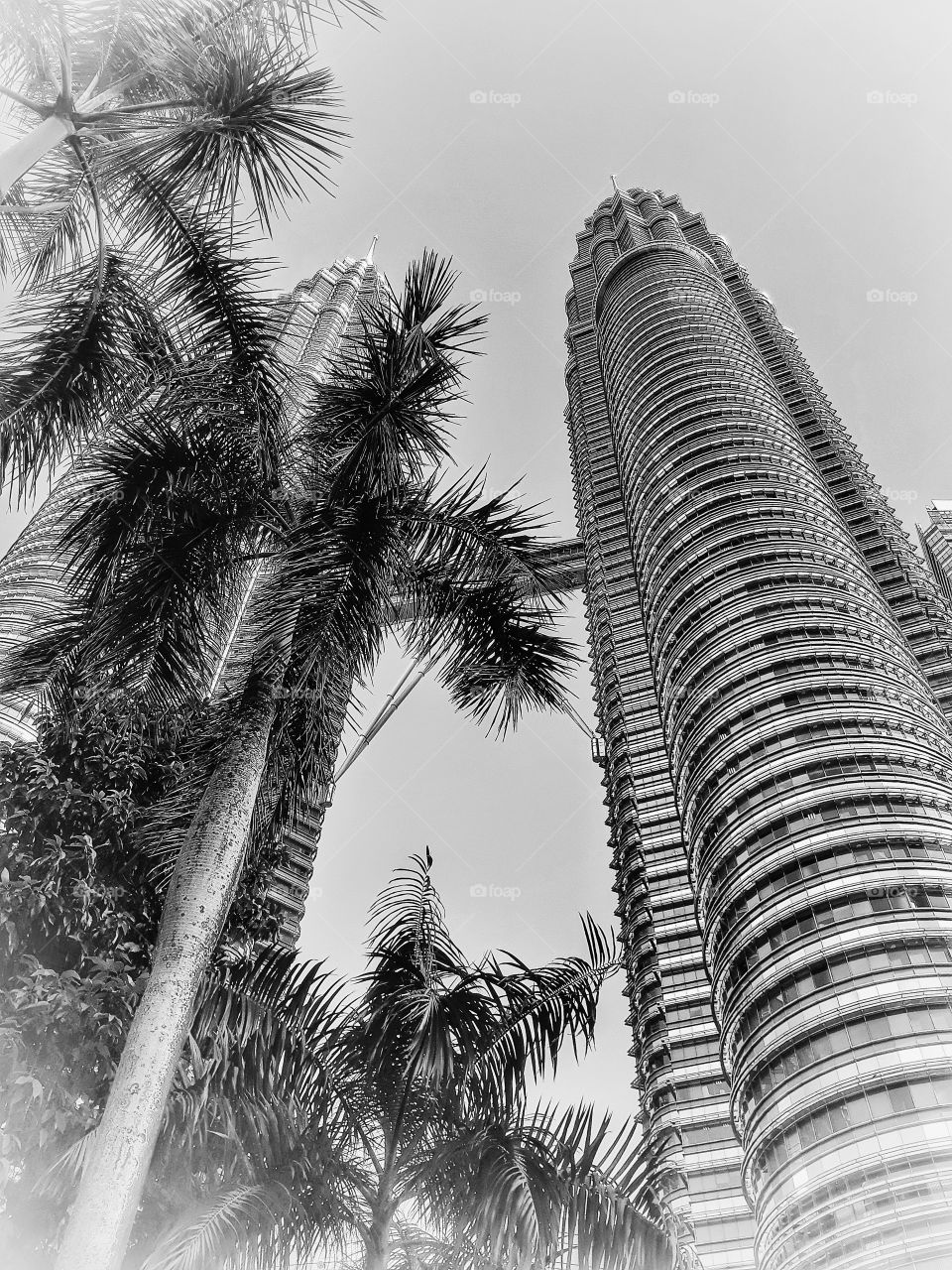 KLCC Tower in Classic view