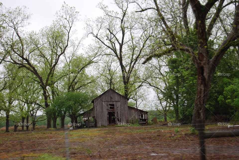 Weathered barn