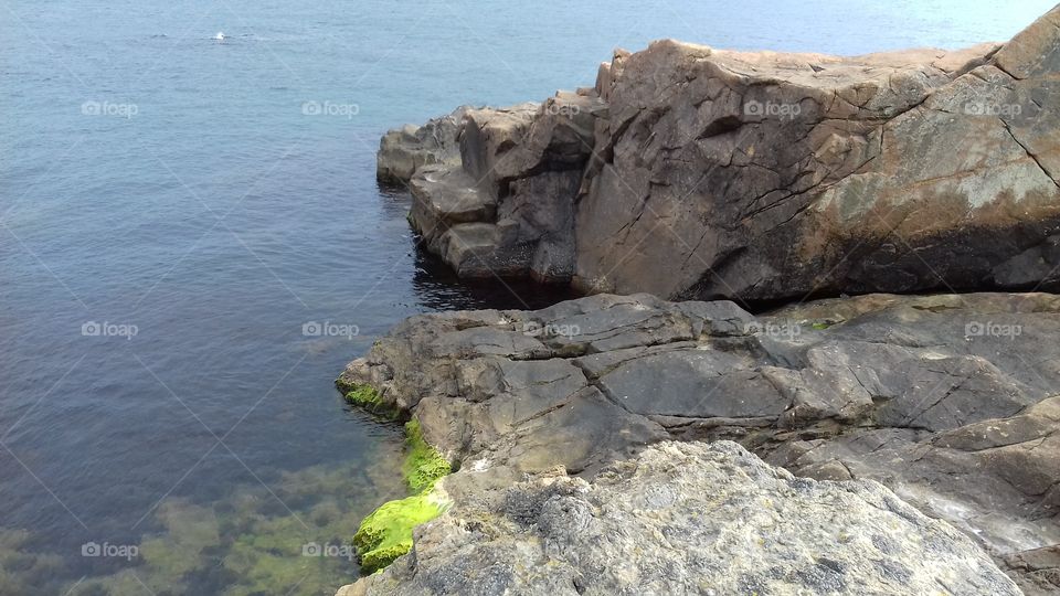 sea rocks