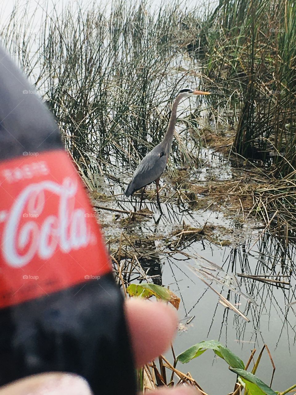 Coca-Cola photography mission 