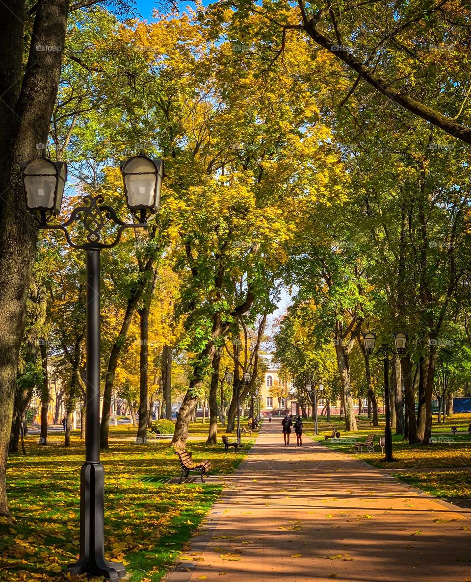 Long park alley with benches in a park. Lots of green and yellow trees, bright light, sunny warm day, people walking in the park, October. Black old lantern in the front