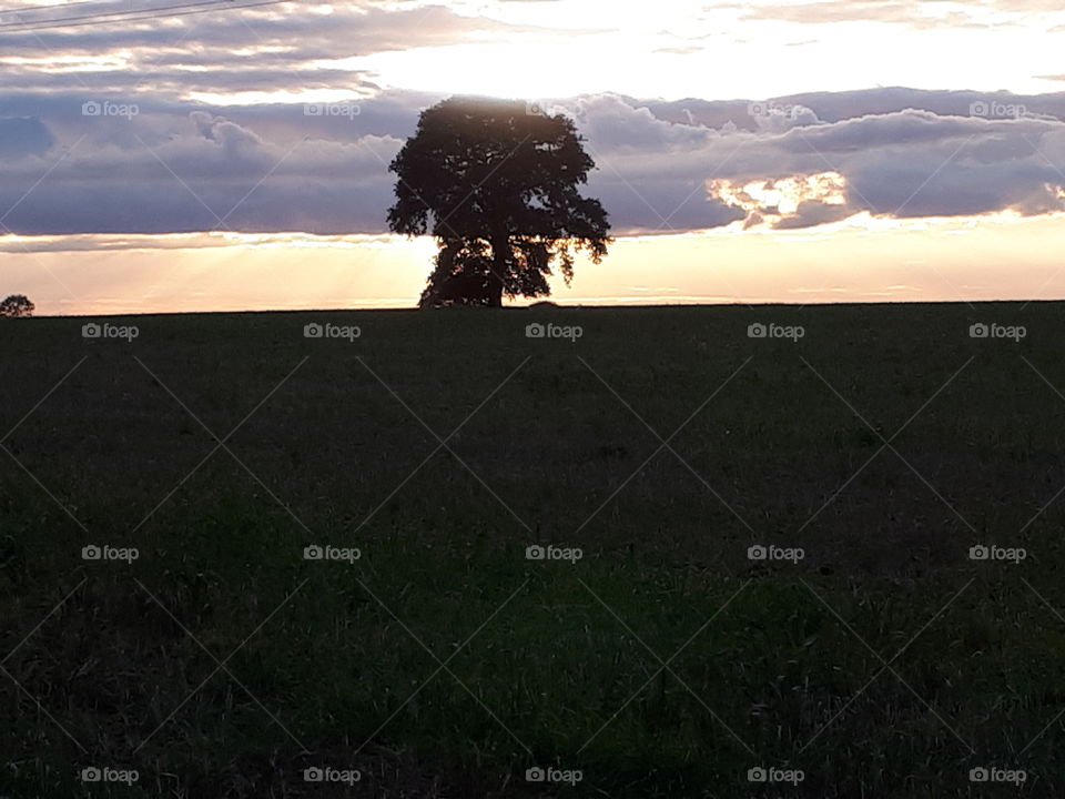 Sunset, Landscape, Dawn, No Person, Evening