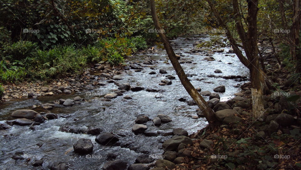 Calnali River