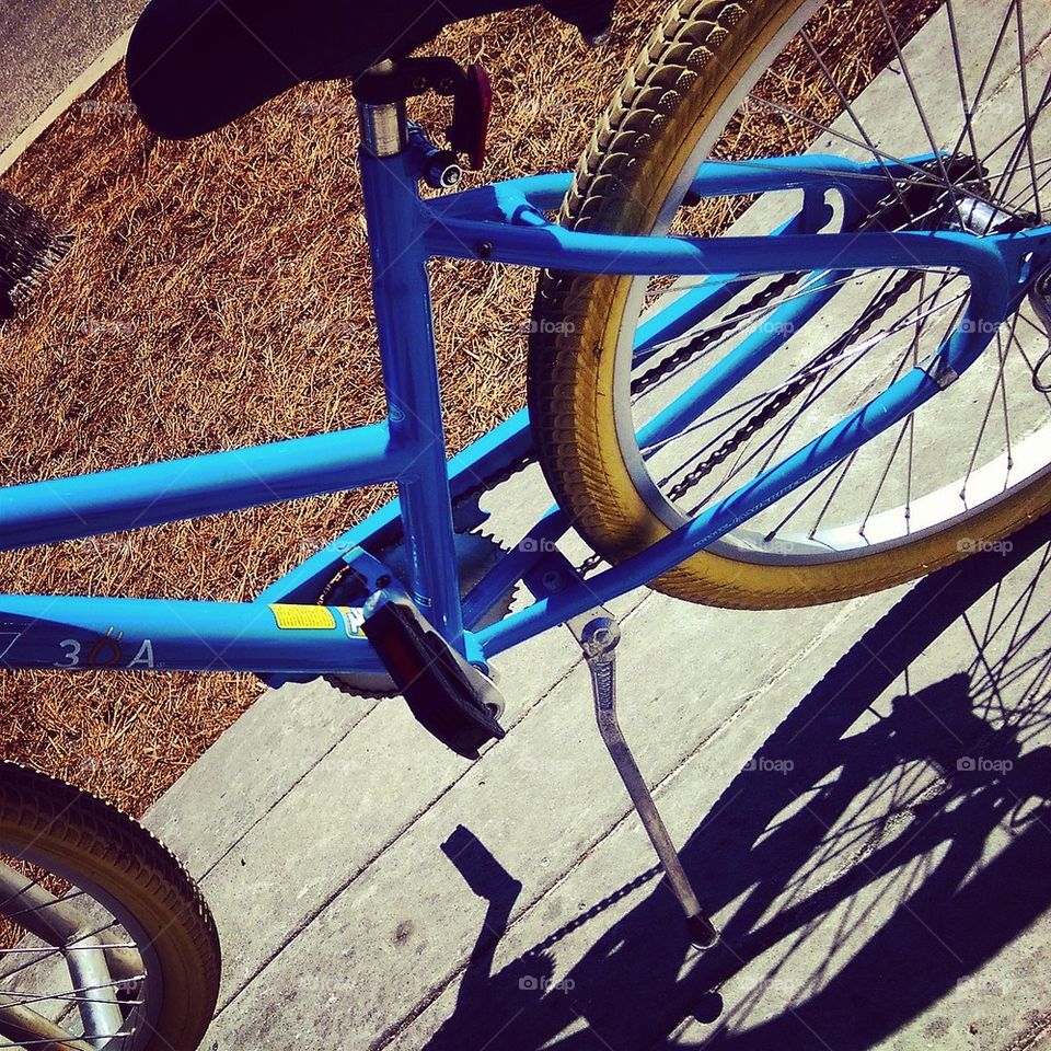 Blue Bike #5 
