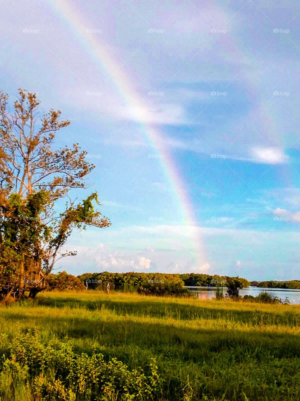 Grabbed the kayak to paddle to the end of the rainbow !