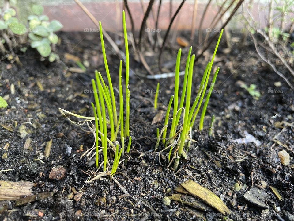 Spring‘s coming ♥️