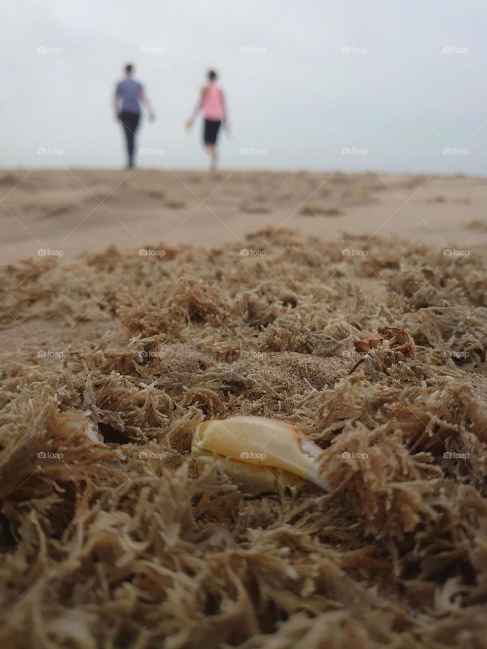 Romance on the beach