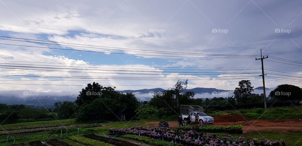 Fog in the rainy season