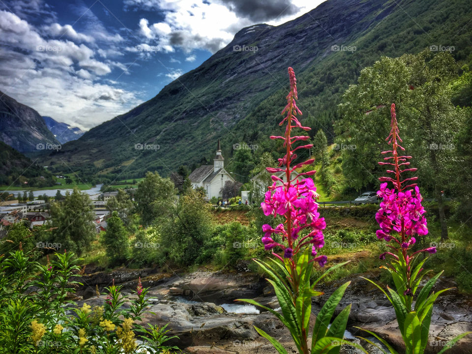 Norwegian country church in a fjord valley filled with wildflowers 