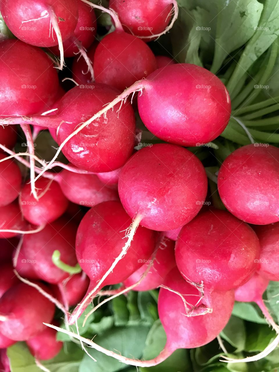Detox radish