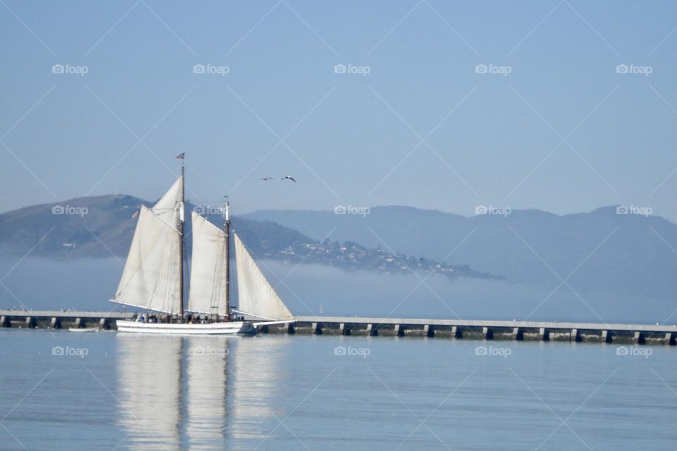 Sail boat in San Francisco