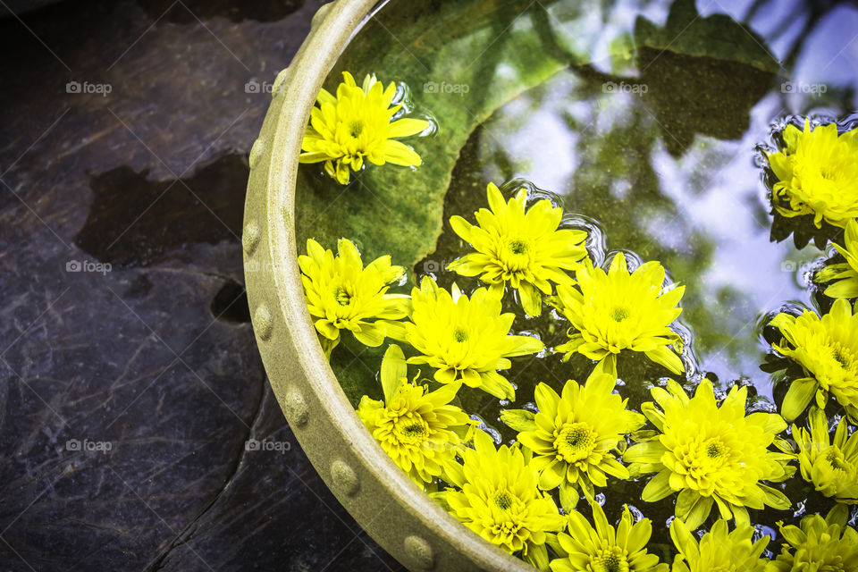 Spa therapy with yellow flowers