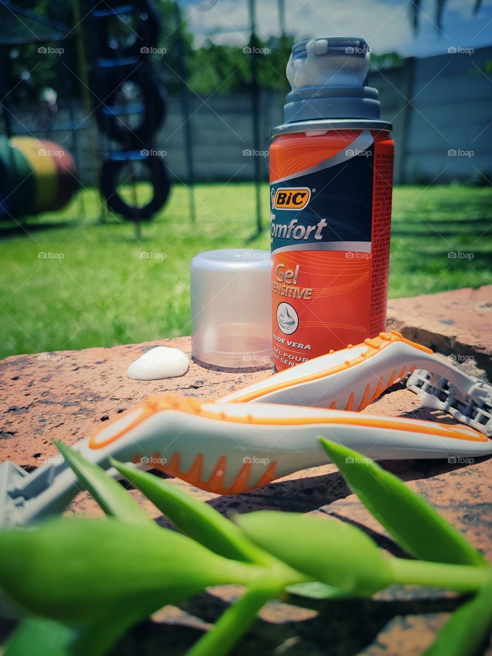 Shaving cream and razors