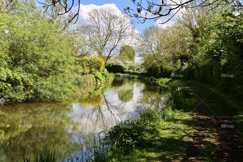 The grand union canal 