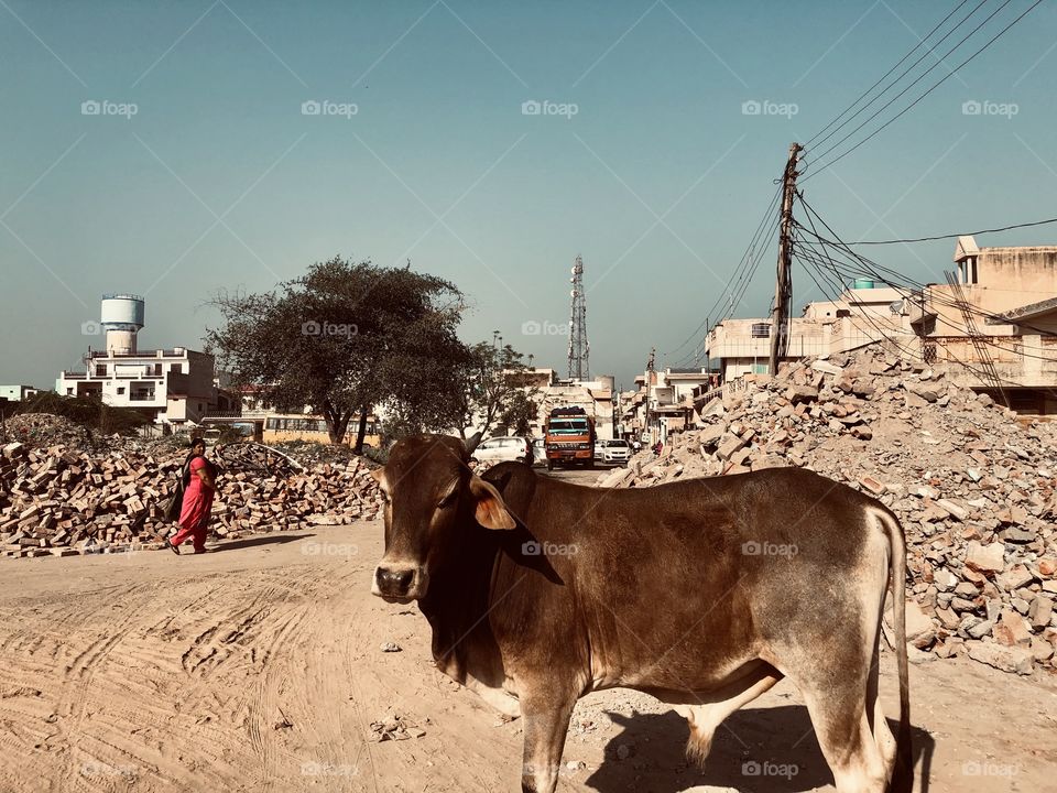 STREETS OF INDIA 🇮🇳