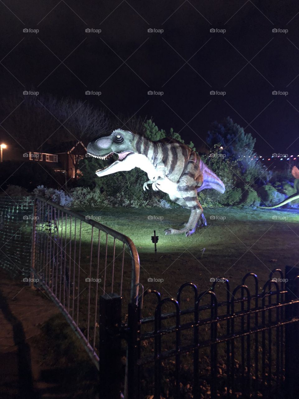 T-Rex at illuminations